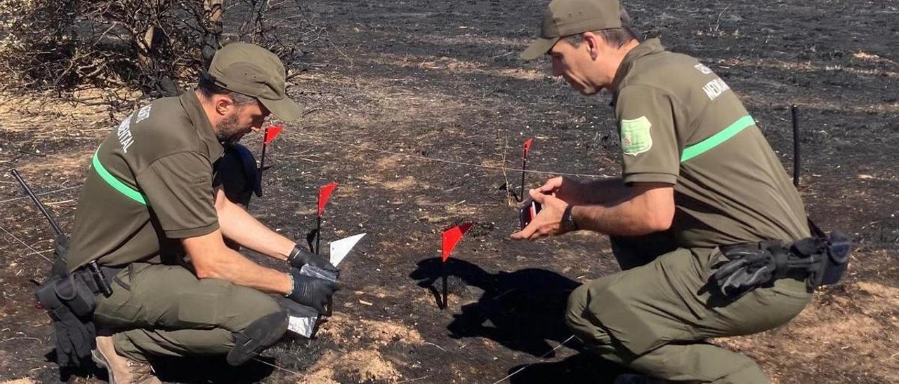 Giro radical en la investigación de un incendio forestal en Salamanca: El motorista francés detenido e ingresado en Topas queda en libertad