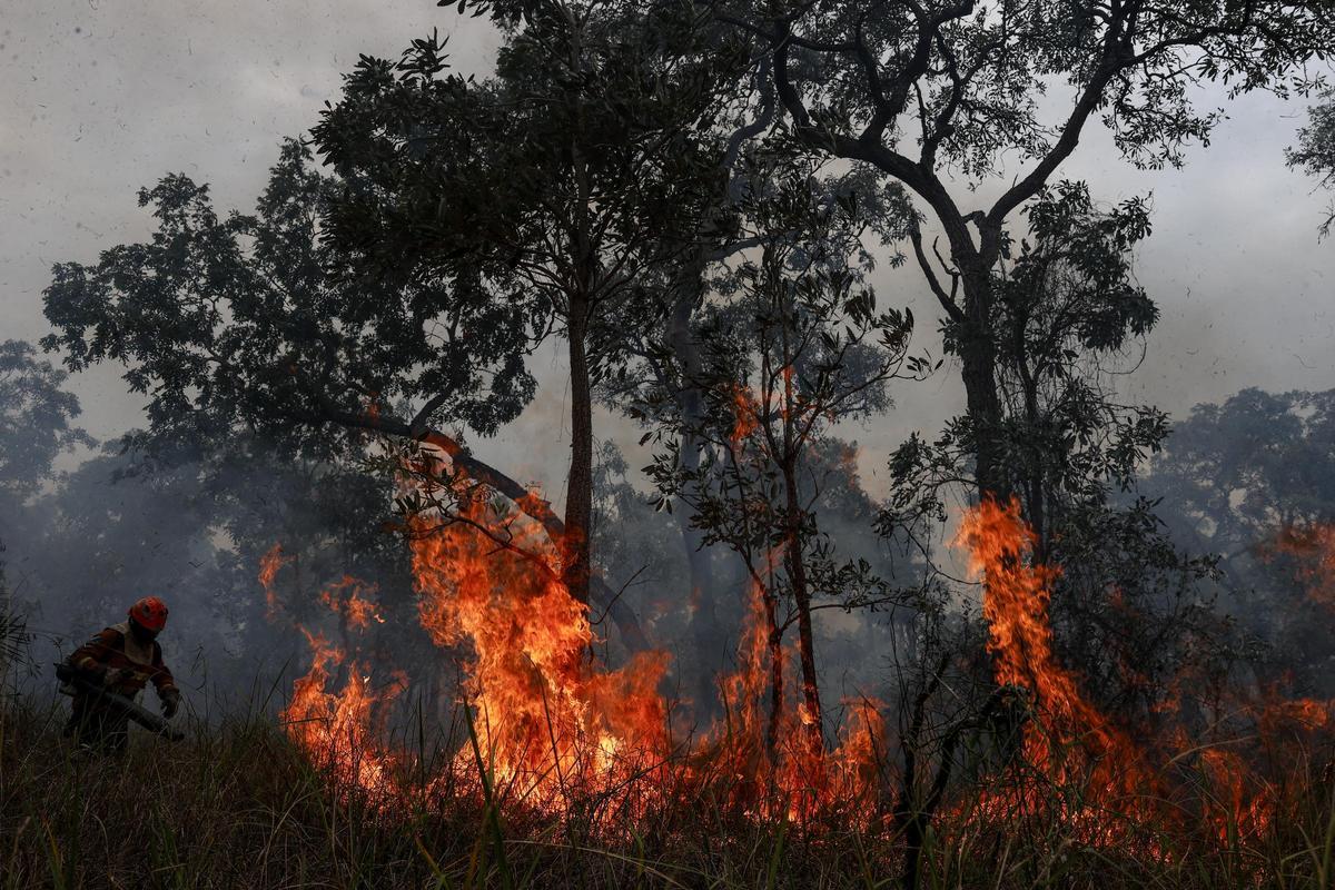 Los bomberos luchan por controlar los incendios en el Pantanal