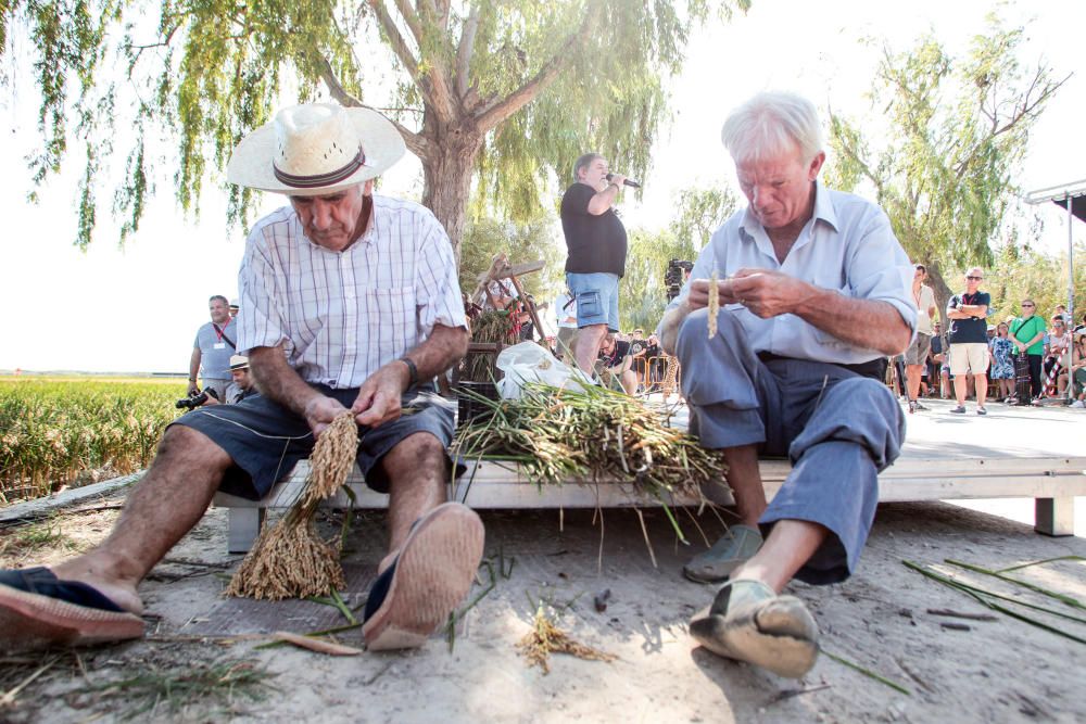 Fiesta de la Siega del Arroz