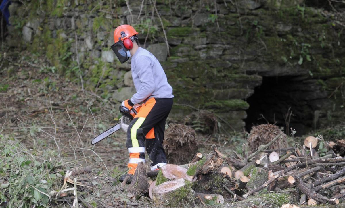 Prácticas forestales de un participante en un taller de empleo en Lalín.  | BERNABÉ/JAVIER LALÍN
