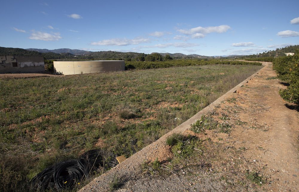 Estos son los terrenos donde irá la planta de placas solares de Renovalia en Sagunt