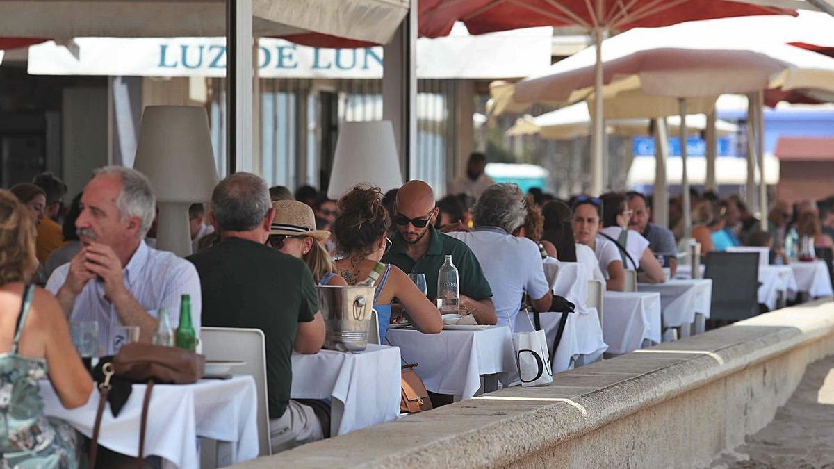 Imatge d&#039;arxiu de les terrasses de la Malva-rosa