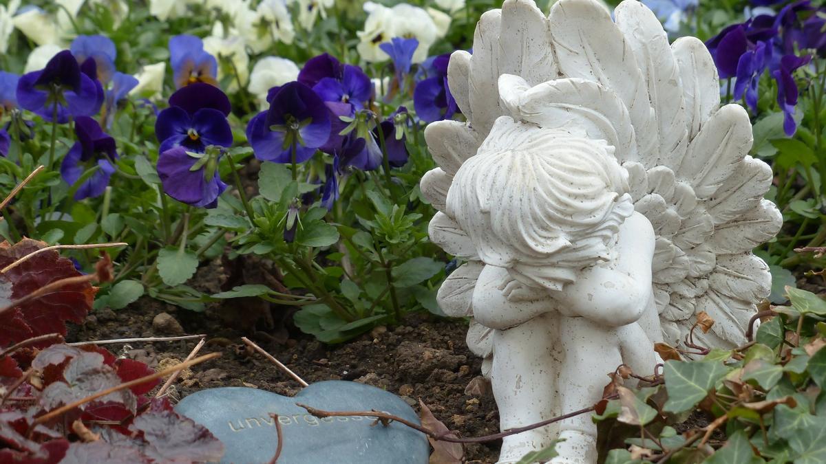 PLANTAS | Las mejores plantas y flores para el día de Todos los Santos