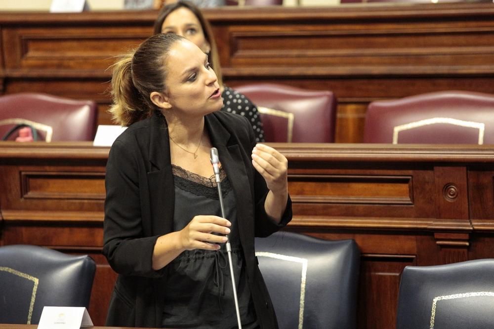 Pleno en el Parlamento de Canarias