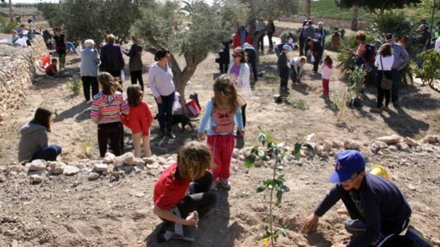 Decenas de niños y adultos plantaron árboles en el parque Amerador de El Campello.