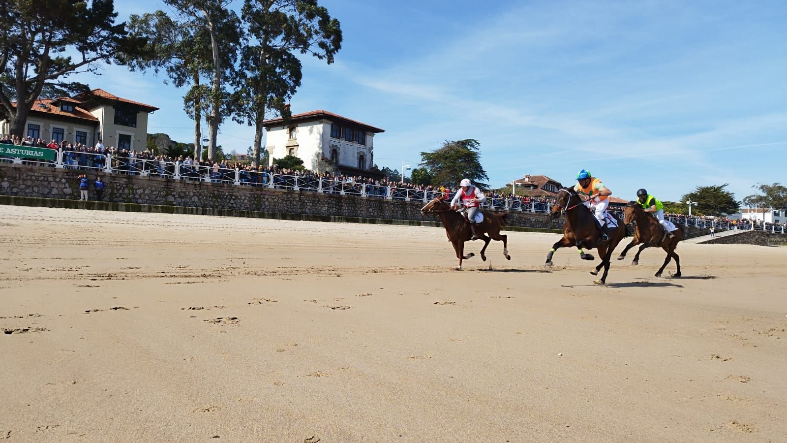 Carreras de caballos playa