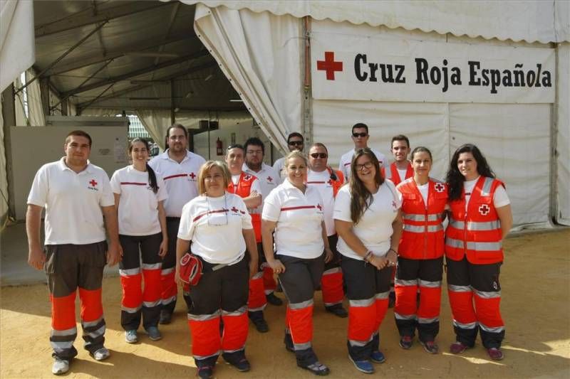 FOTOGALERÍA / MARTES DE FERIA EN EL ARENAL