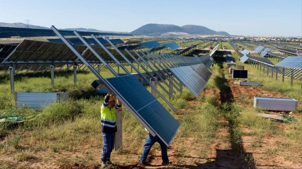 Instalación de paneles solares para el desarrollo de energía fotovoltaica.