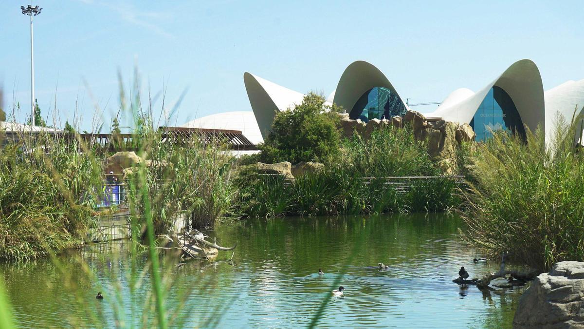 Llac viu.