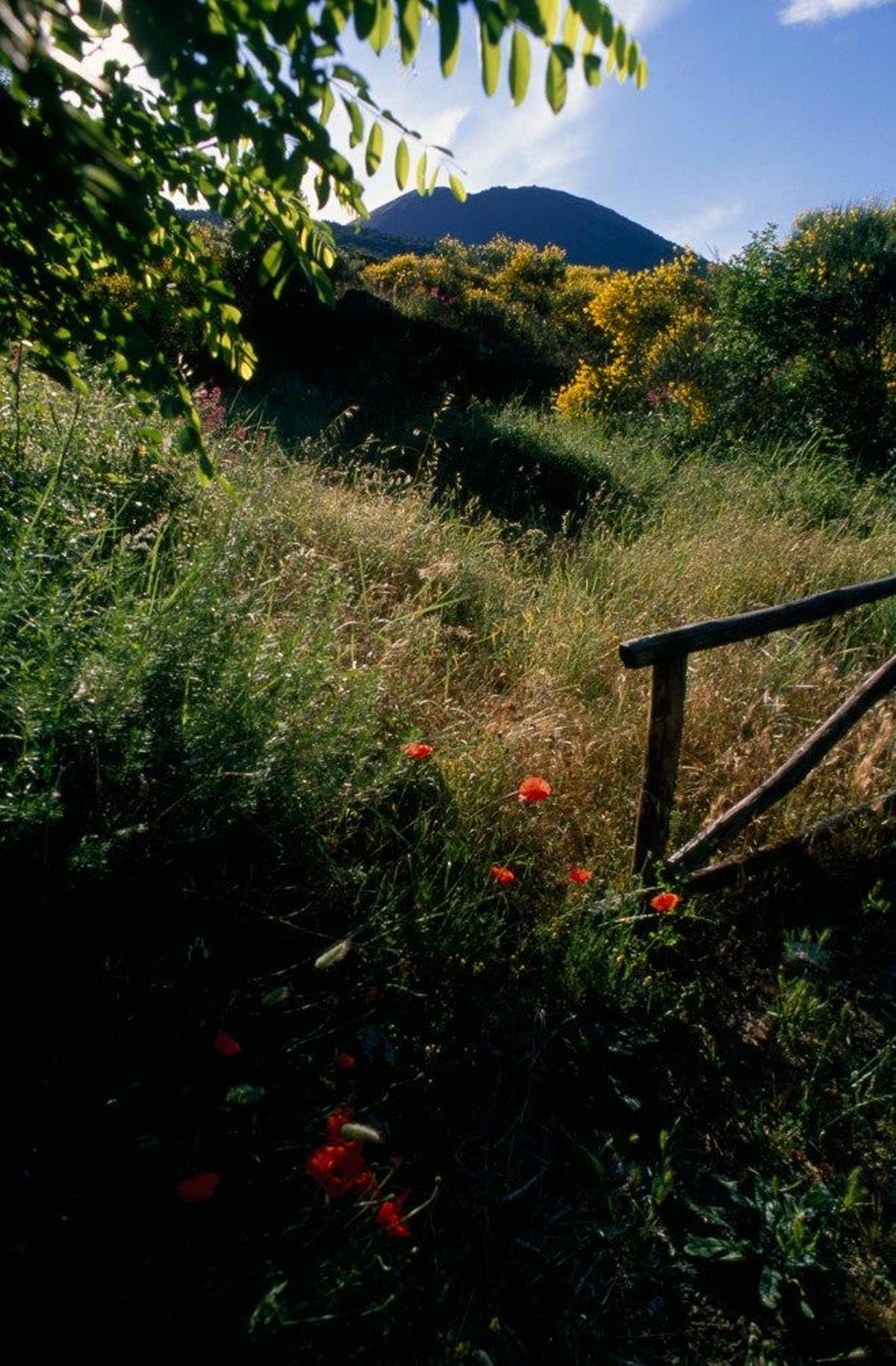 Parque nacional del Vesubio (Italia)