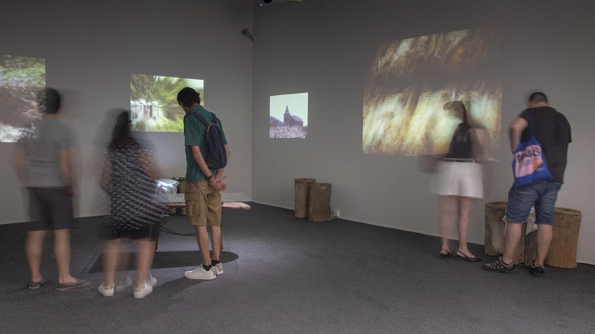 El Museu d'Etnologia de València acull l'exposició 'Solsida' fins a l'1 de febrer de 2026.