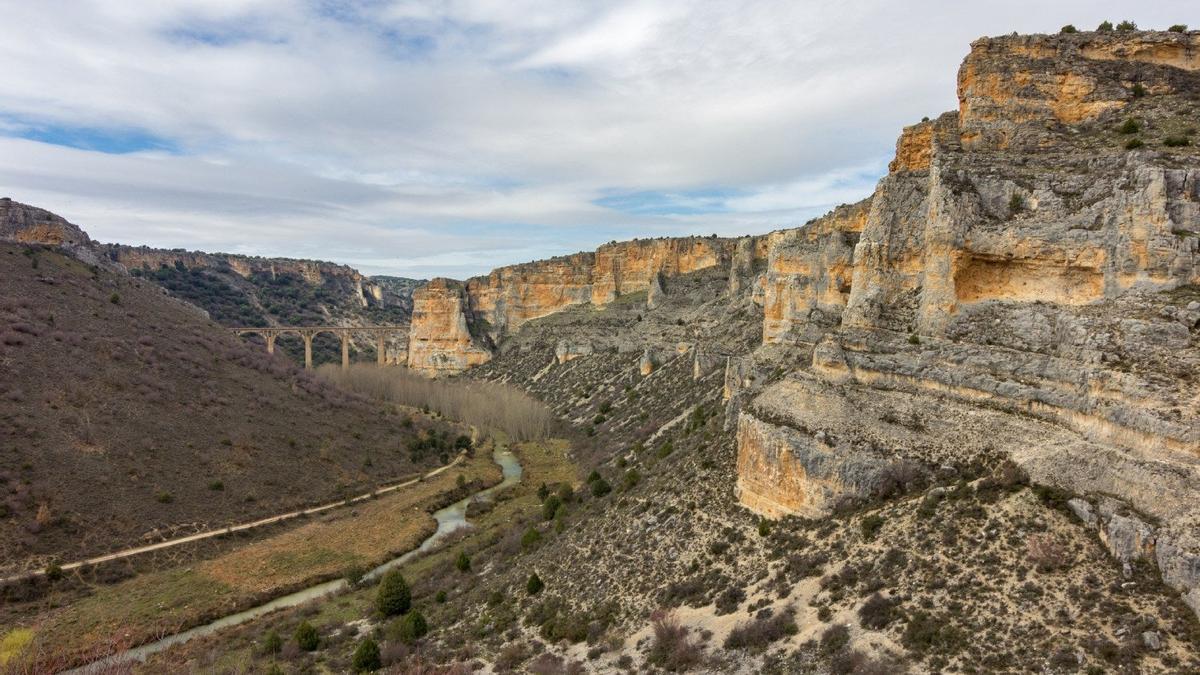 Un paseo bajo los buitres en las Hoces del Río Riaza