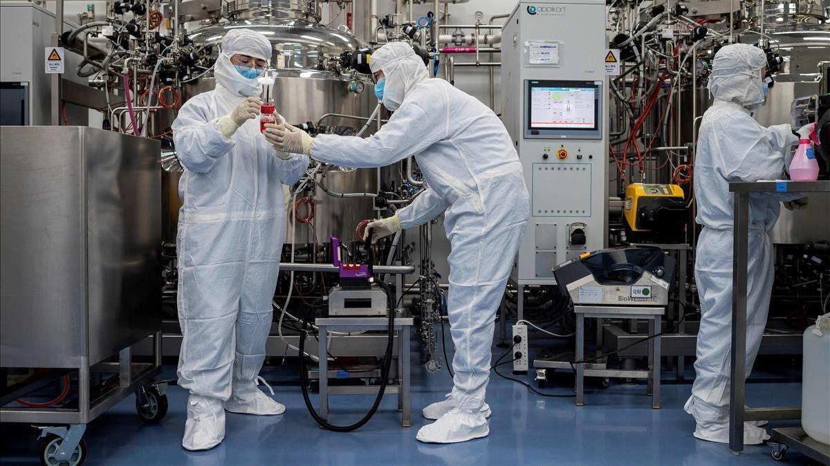 Un equipo de científicos trabaja en el desarrollo de la vacuna de Sinovac, en un laboratorio de Pekín.