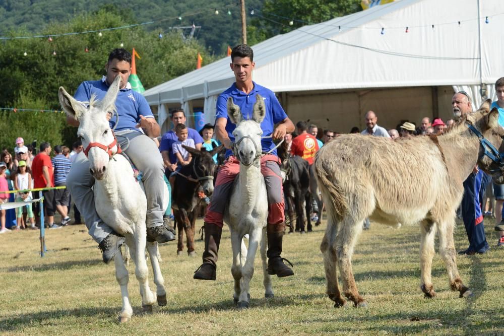 "Burrocross" en las fiestas de San Tirso