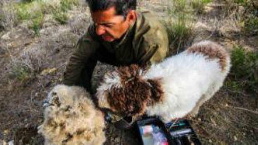 Sierra Escalona, donde anida el búho real