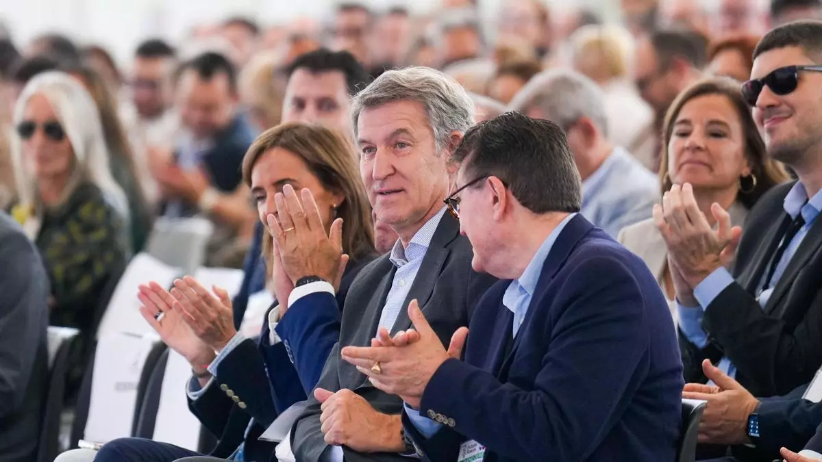 Feijóo promete "llegar, trabajar y resolver" para fortalecer el Estado del bienestar
