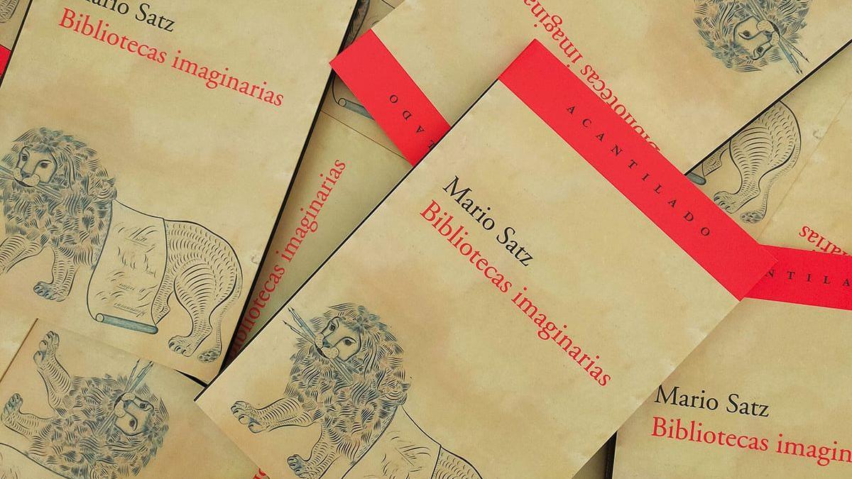 &#039;Bibliotecas imaginarias&#039;, de Mario Satz.