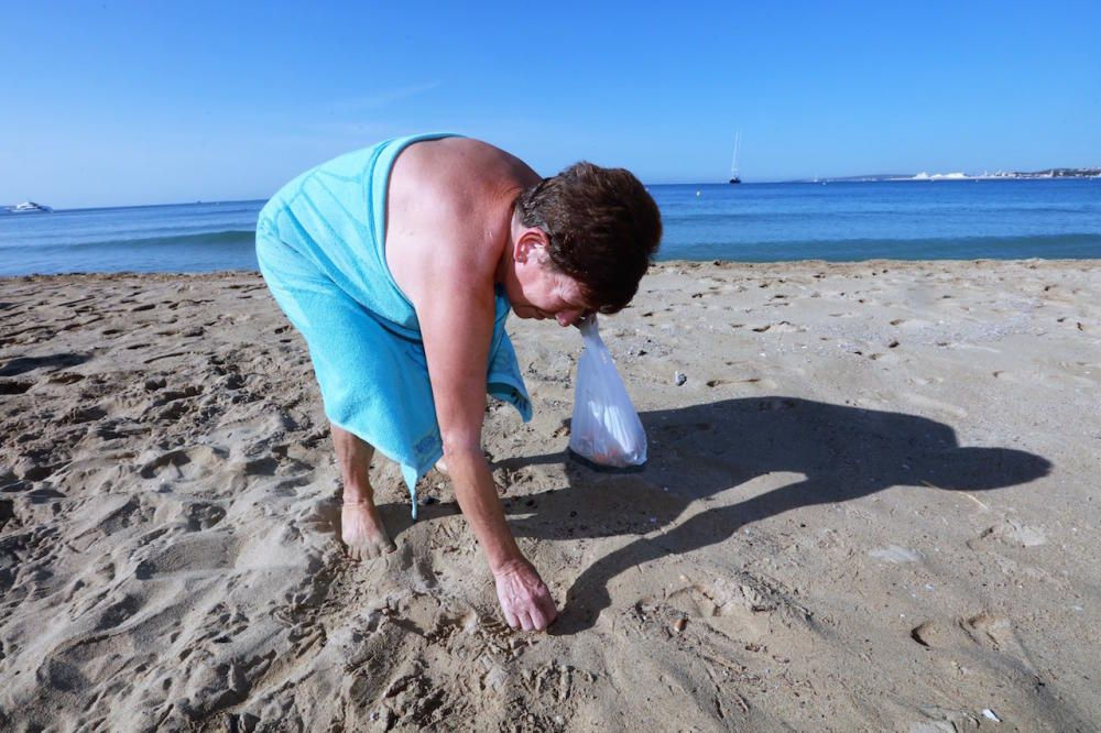 Eine katalanische Organisation hat zum gemeinsamen Müllsammeln aufgerufen. Die Zigarettenreste werden fotografiert und zusammengetragen. Los ging es am Montag (14.8.) an Palmas Stadtstrand Can Pere Antoni.