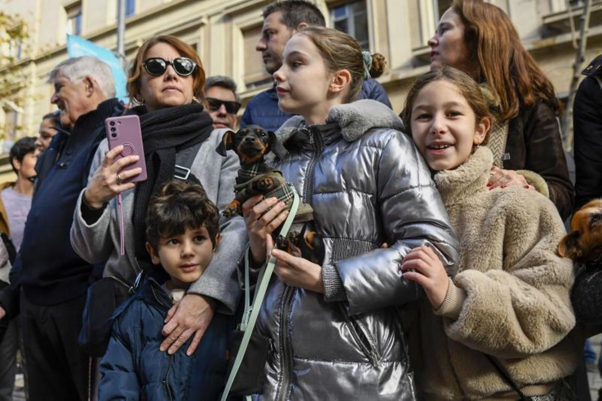 Bendición de animales en Els tres tombs