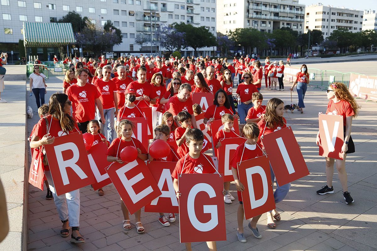 Marcha por la donación en Córdoba