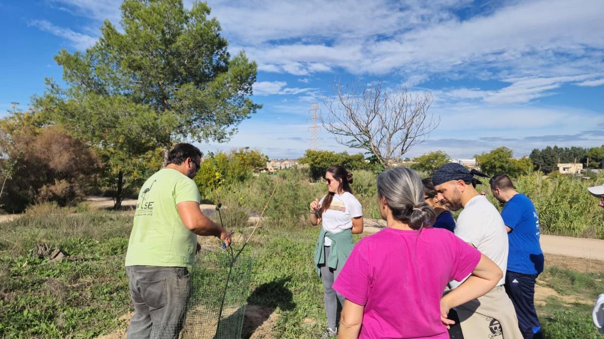 Un voluntario de ANSE enseñando a plantar vegetación en el Vivillo.