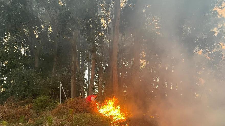 Conato de incendio en las inmediaciones de la Autovía de O Salnés