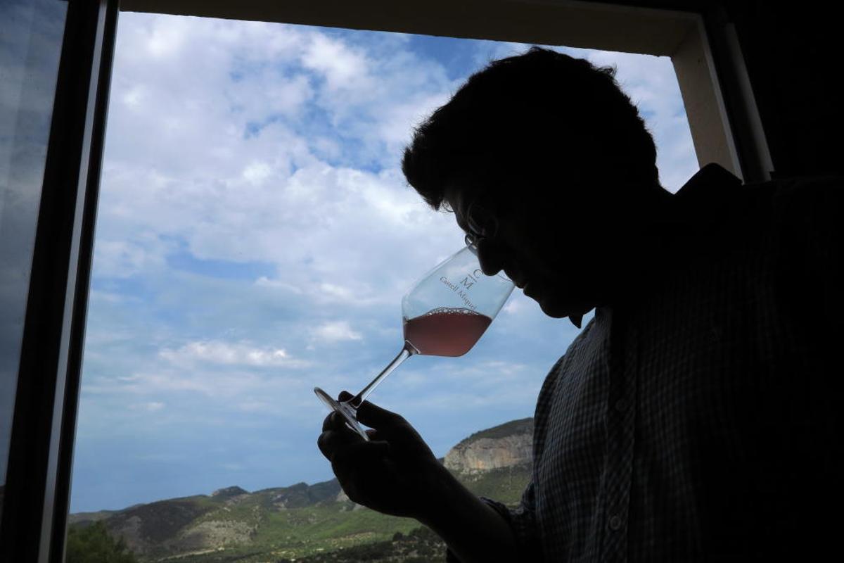 Vendimia en Mallorca en la finca Castell Miquel