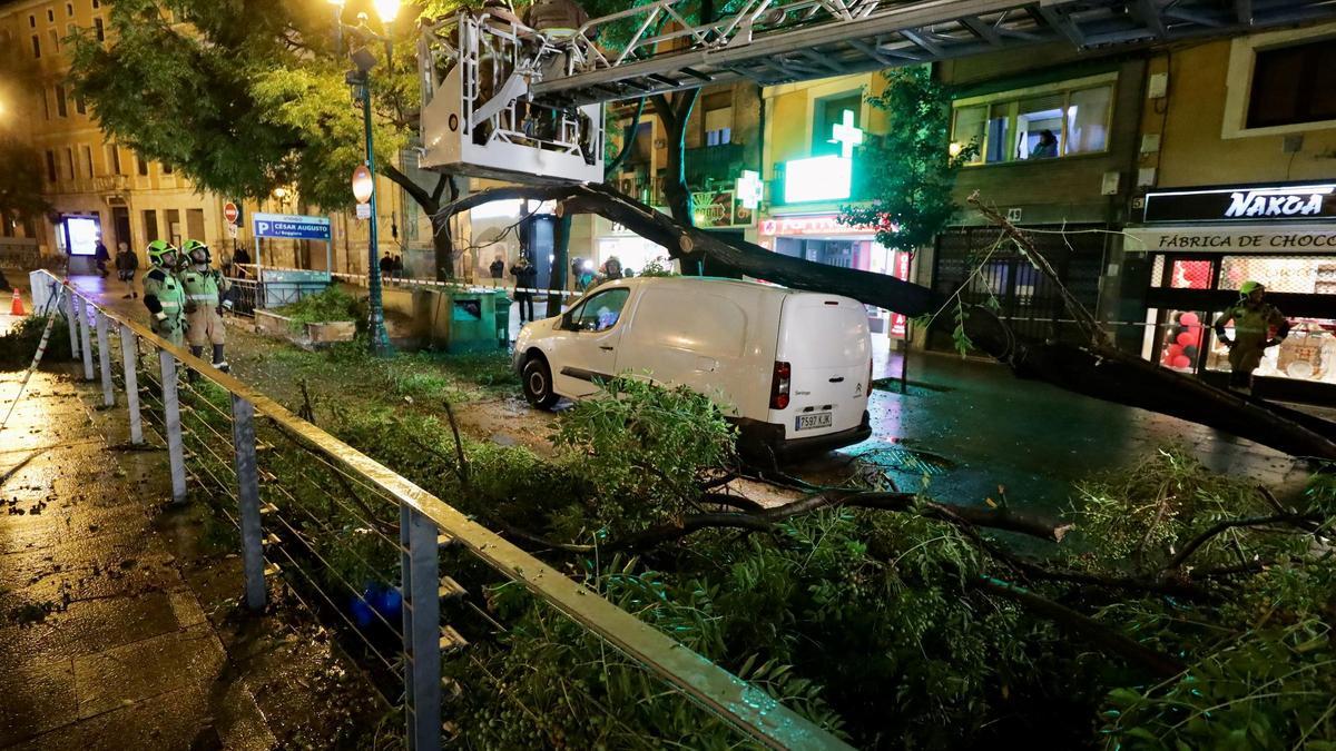 Unos operarios trabajan junto a un árbol caído en César Augusto, Zaragoza, el pasado mes de octubre.