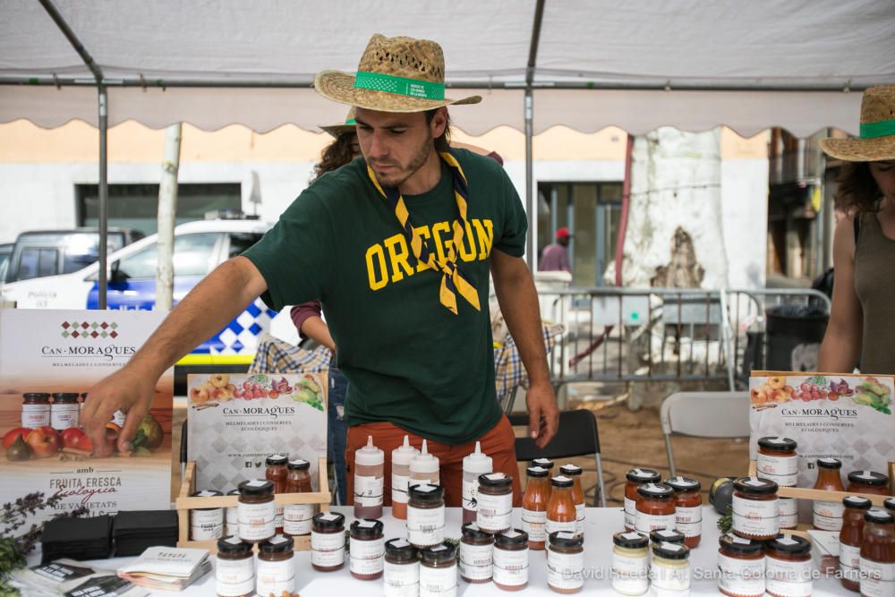 Mercat de les Herbes de la Ratafia a Santa Coloma de Farners 2018