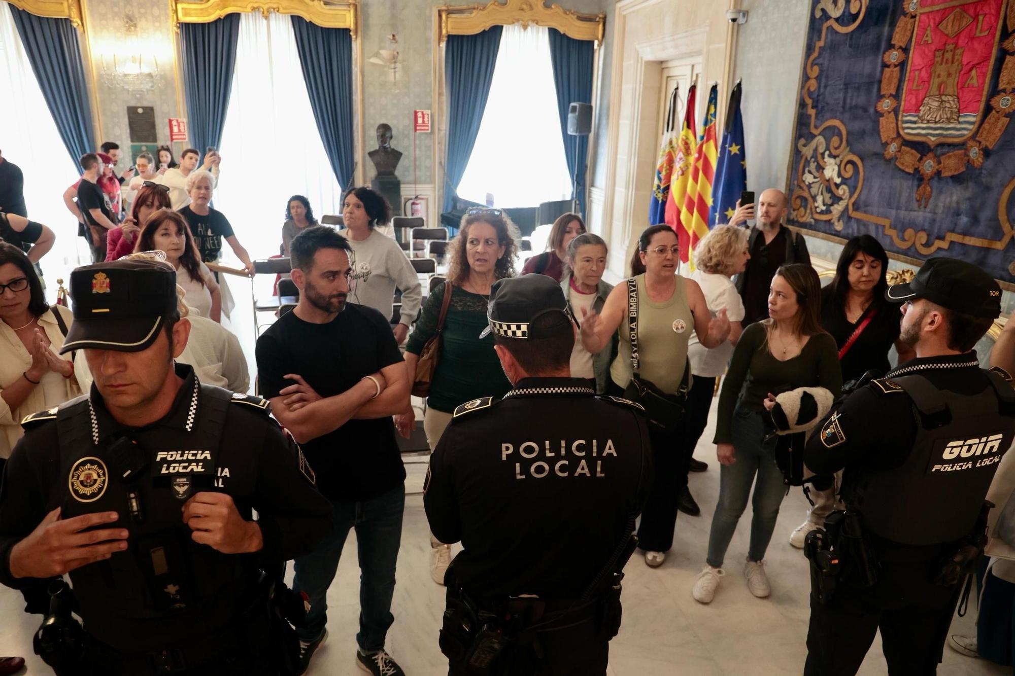 Polémica en el pleno de Alicante por la muerte de los dos perros arrojados desde un balcón
