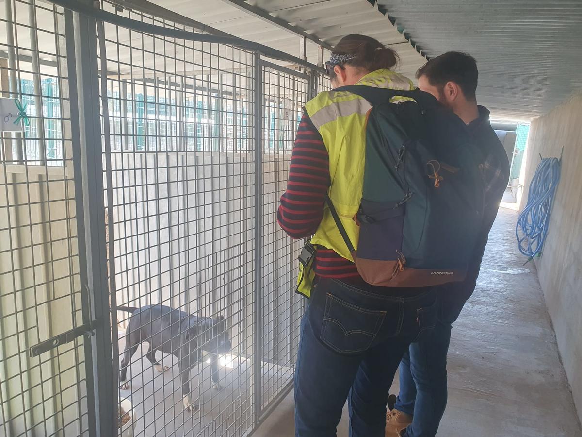 La visita de los miembros del Ayuntamiento de Santa Eulària a los perros trasladados