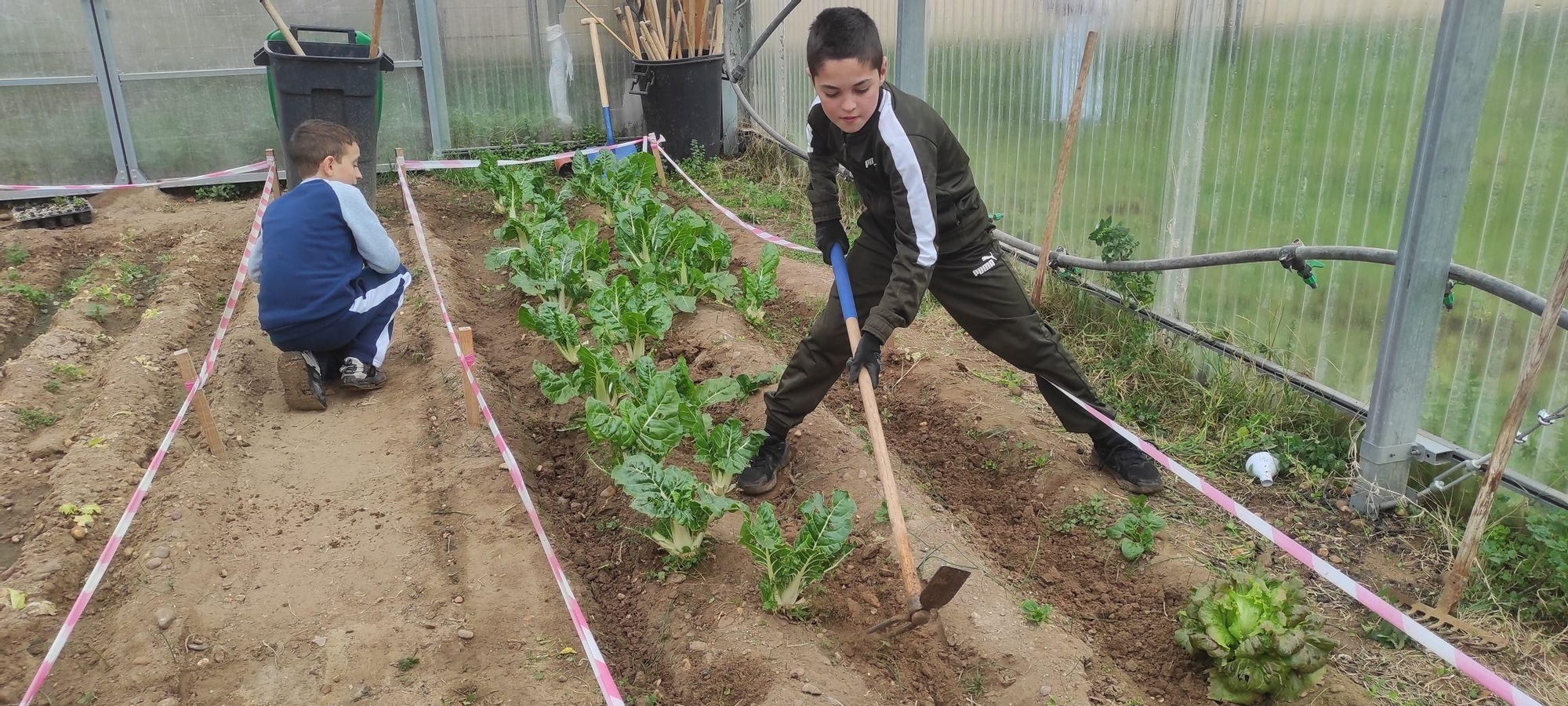 Educación ambiental del colegio Nuestra Señora de la Paz en Villaralbo.