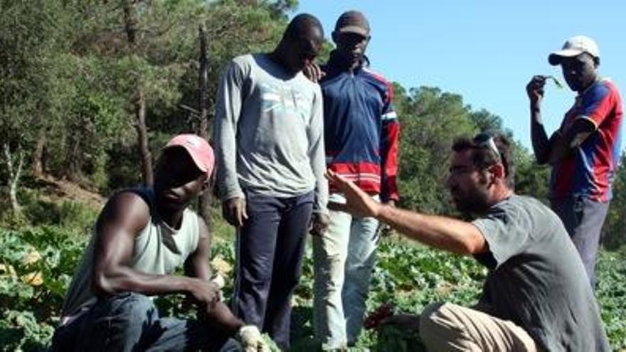 Un projecte permet a joves immigrants de Vidreres a formar la seva pròpia cooperativa