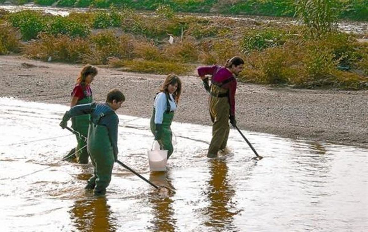 Tècnics del parc fluvial i de la Universitat de Barcelona, durant l’operació de captura al Besòs. Tècnics del parc fluvial i de la Universitat de Barcelona, durant l’operació de captura al Besòs.
