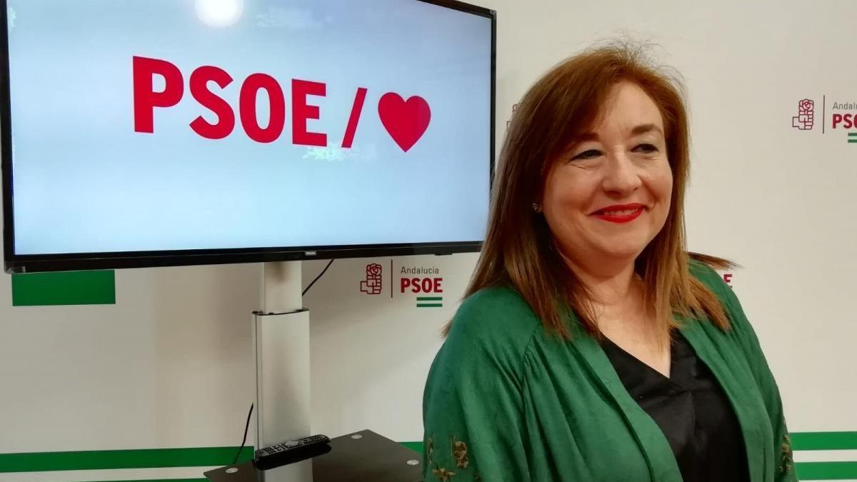 El PSOE-A afirma que tras la derogación de la LOUA &quot;se esconden intereses privados&quot;