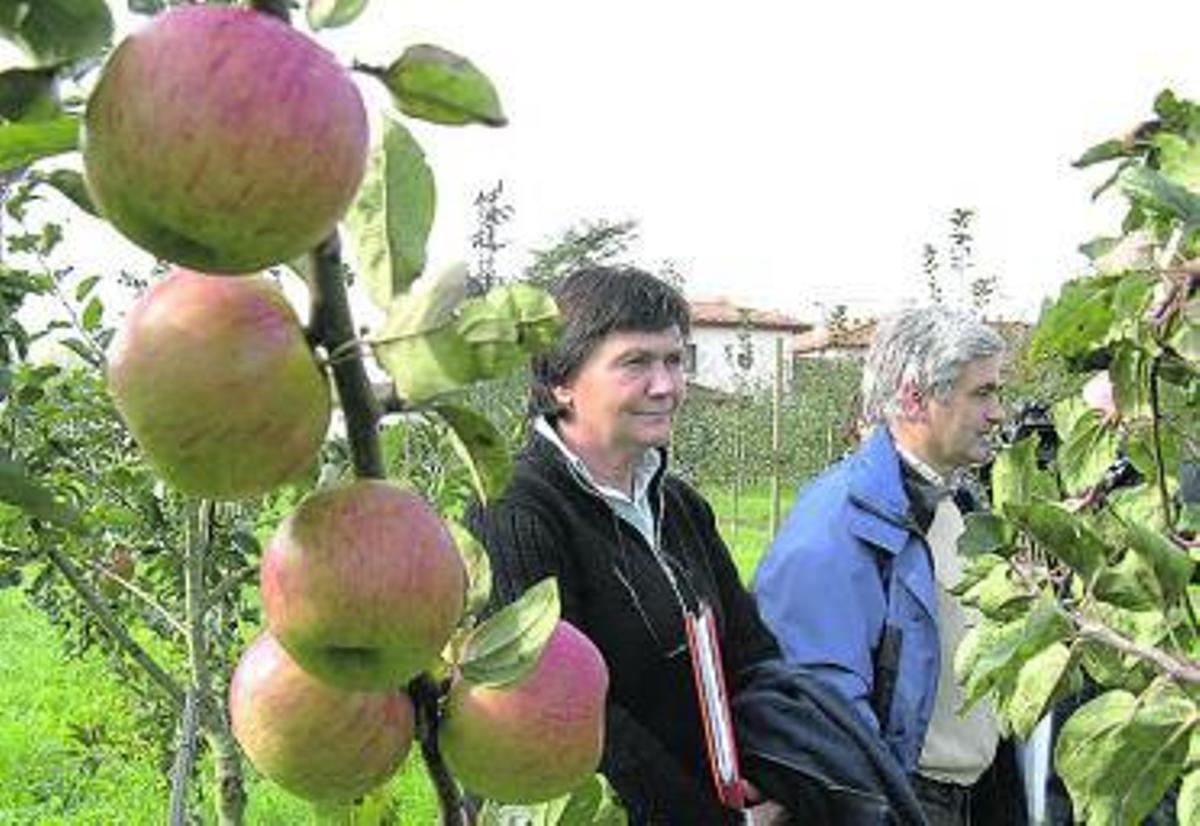 La denominación de origen se amarga