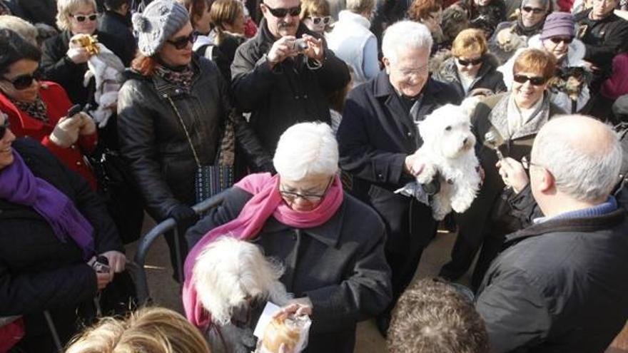 La vila palamosina celebra la festa de Sant Antoni Abat