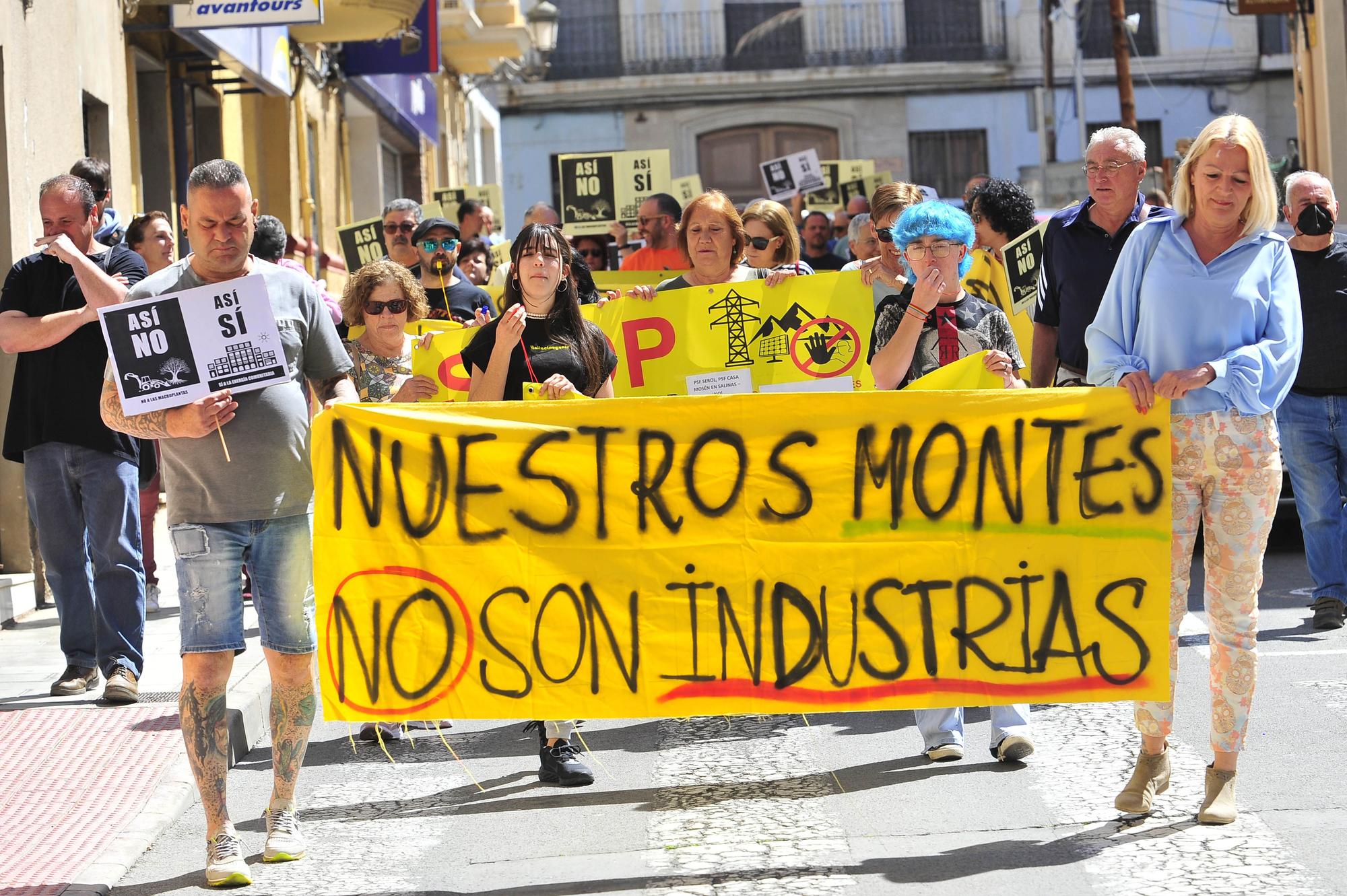 Manifestación contra las plantas solares en Elda