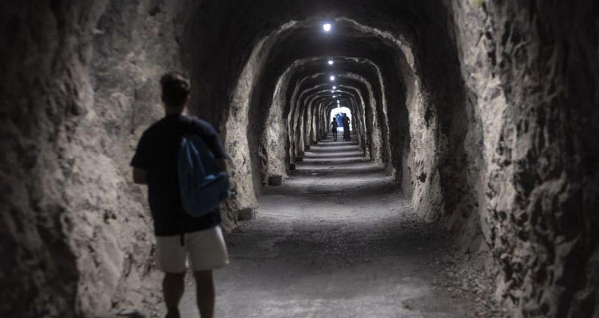 Ver a &quot;Paca&quot; y &quot;Molinera&quot;, un &quot;sueño&quot; para los turistas