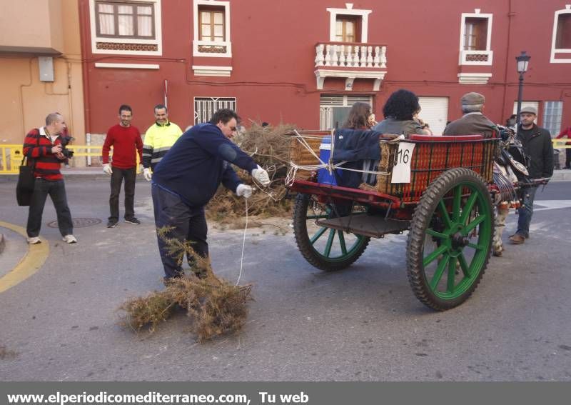 GALERÍA DE FOTOS -- Orpesa celebra Sant Antoni con carreras y bendición de animales