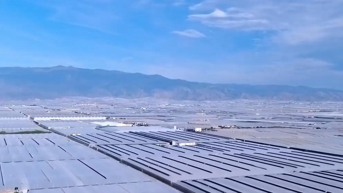 Invernaderos en la provincia de Almería