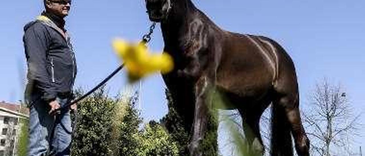 Nacho Alonso pasea a su caballo.