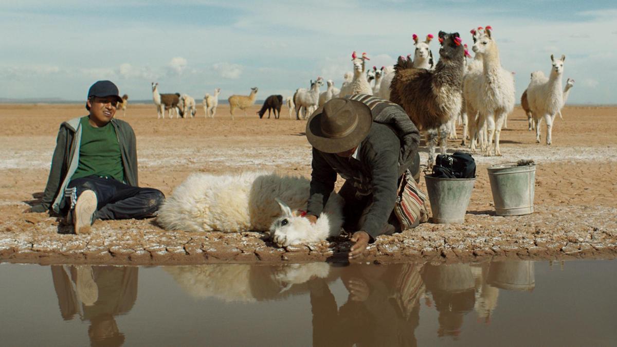 Imagen de &quot;Utama&quot;, premiada en Sundance, del director Alejandro Loayza, que acude a la Mostra de Cinema de Planes