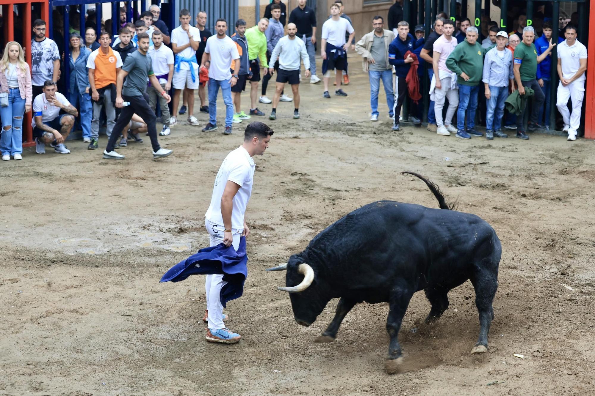 Galería de fotos de la penúltima tarde de toros de las fiestas del Roser en Almassora