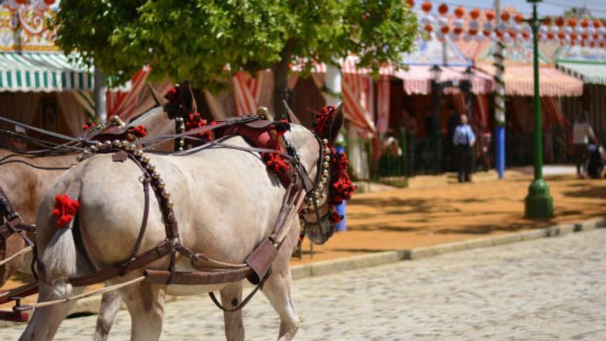 El momento de acoso que vivieron unas menores de 16 años en la Feria de Jerez: &quot;Pasar esto por ser mujer&quot;