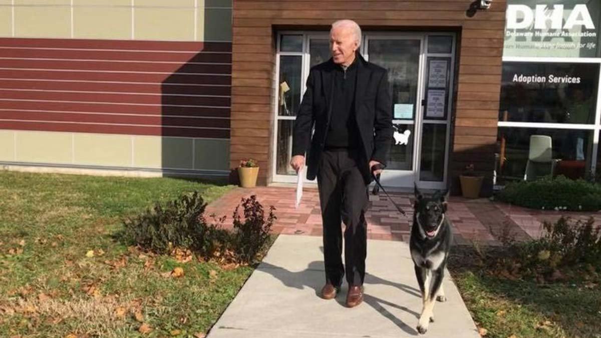 Biden con su perro.