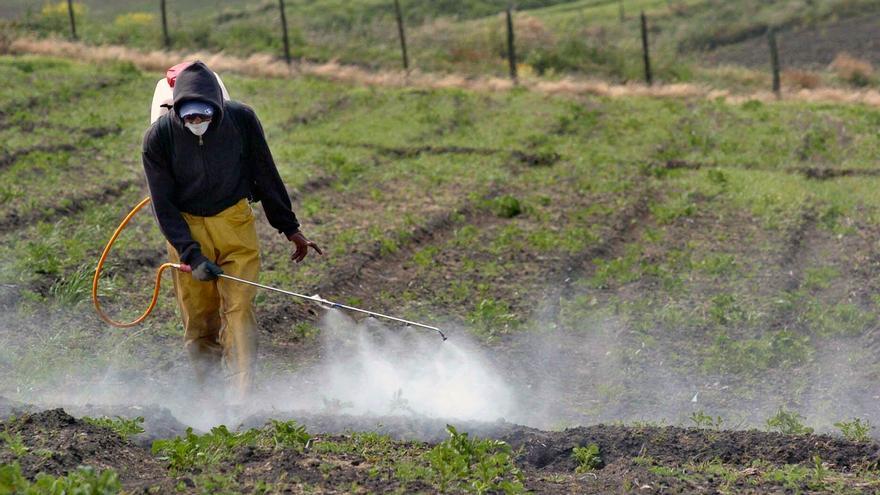 ¿Qué son las PFAS, contaminantes perpetuos que invaden nuestro cuerpo?