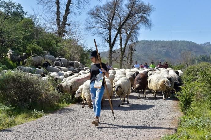 08-03-2020 VALLESECO. Feria del Queso y ruta trashumante femenina en el Cruce de Cueva Corcho. Fotógrafo: ANDRES CRUZ  | 08/03/2020 | Fotógrafo: Andrés Cruz