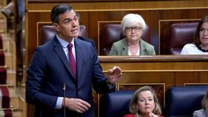  Sesión de control al Gobierno en el Congreso. En la imagen Pedro Sánchez. 