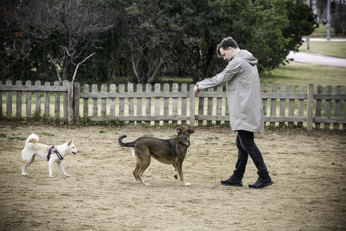 Perros en un parque de Sant Andreu.
